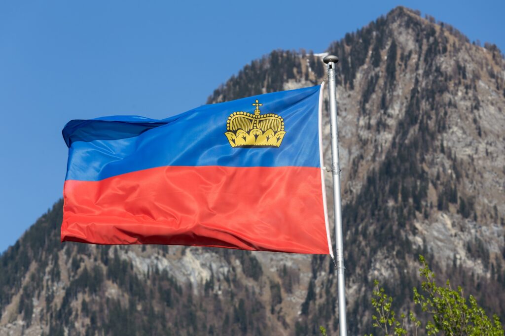 Flag of the principality of USA